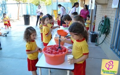 Centro Infantil Bilingüe. Mercadito CIB.