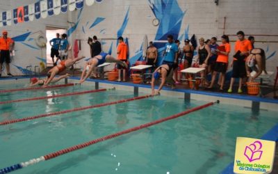 Competencia Máster de Natación 2019. Club Deportivo LINCE.